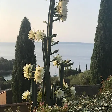 Maison Calme Tres Belle Vue Lavandou Ferienhaus *